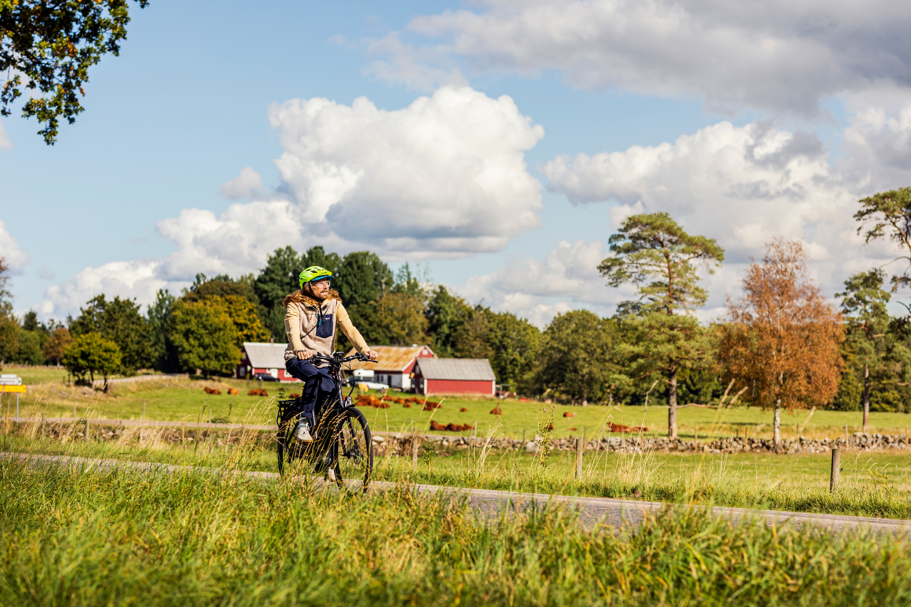 Bild för Cykelleden Skåne