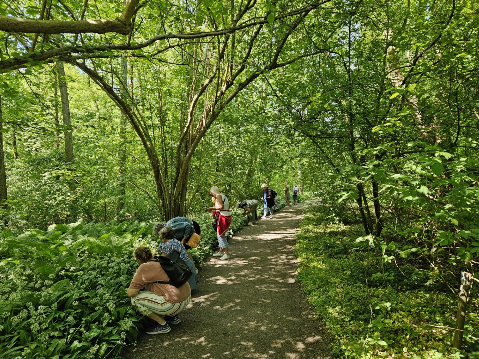 Bild för Aktiv företagsupplevelse på cykel till Fredriksdal