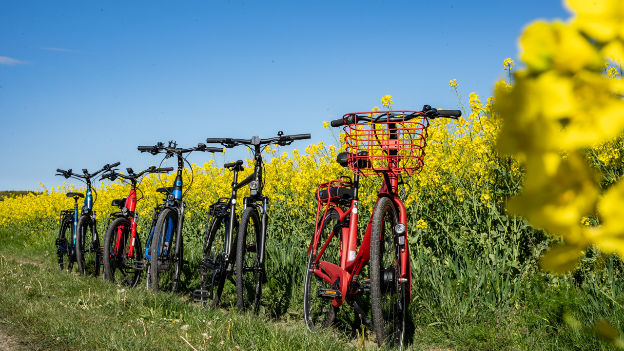 Bild för Cykelservice till företag