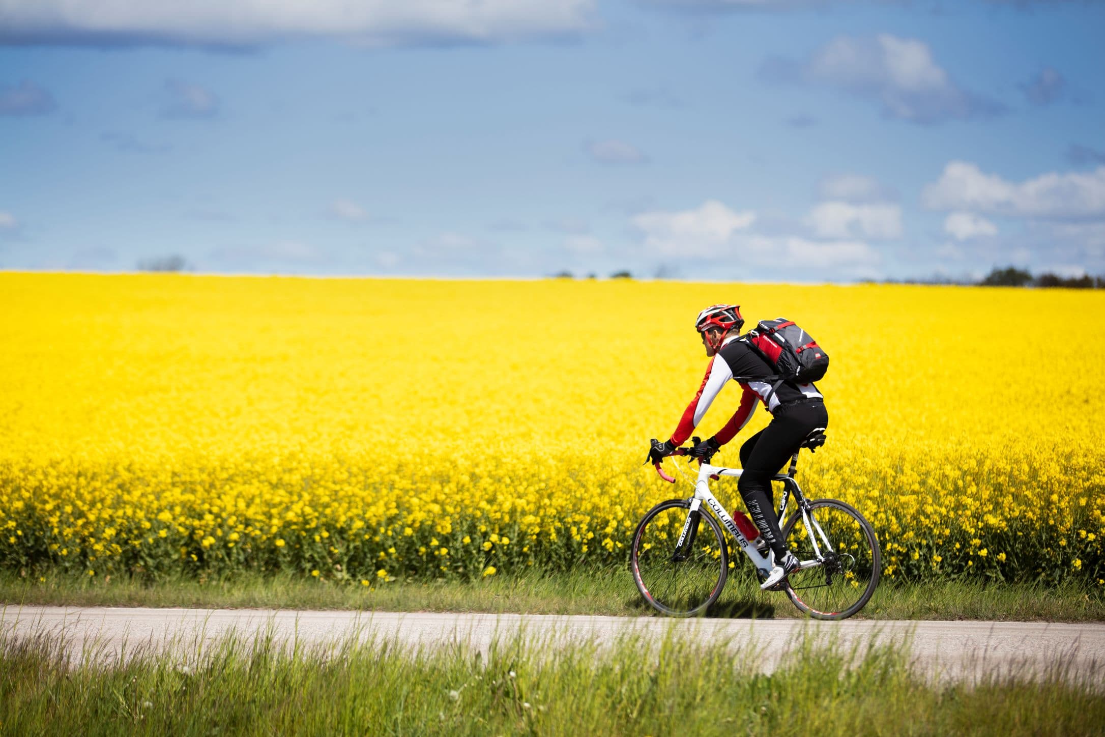 Hero Bild för TourOperator FTI Touristik