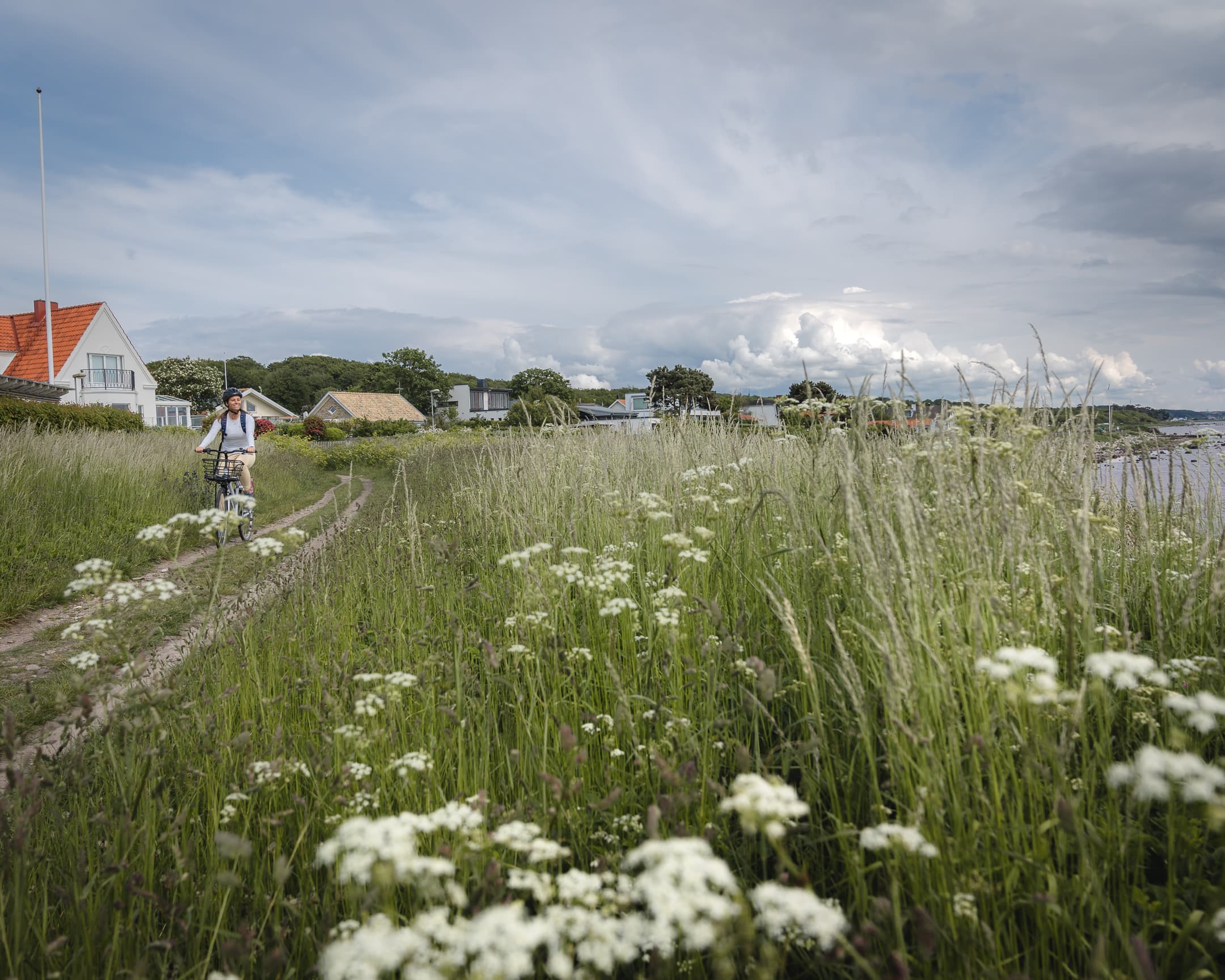 Hero Bild för TourOperator Nordic Tours