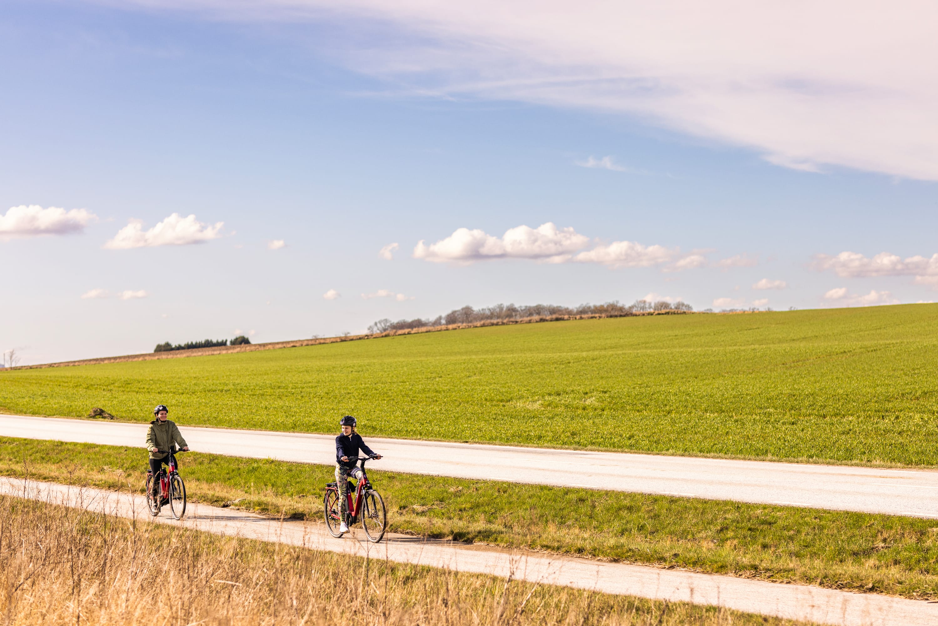 Picture of The Cycle Route Skåne 103, including the scenic Ringsjön area 