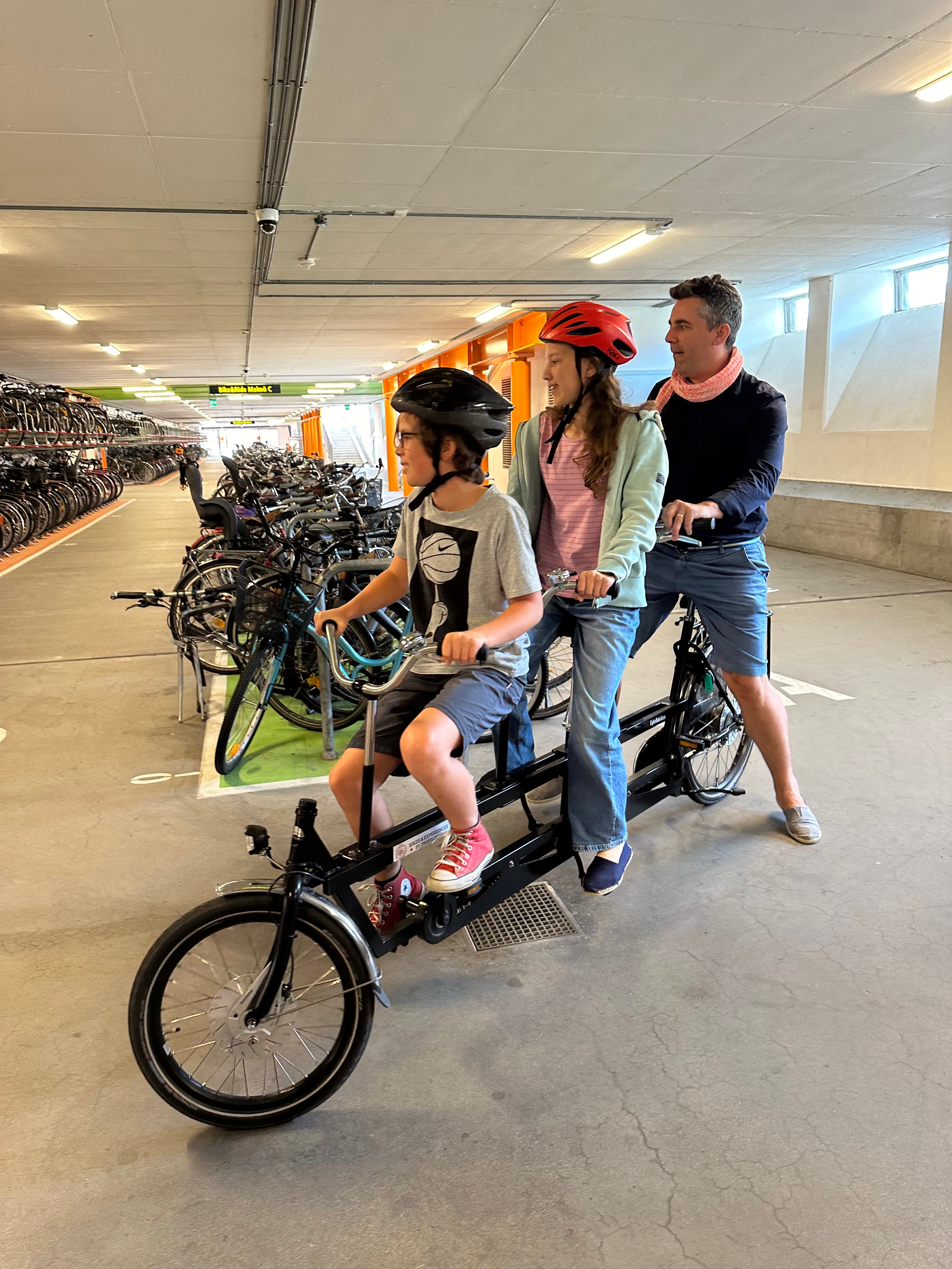 Picture of Familjetandem: 10 Roliga Lekplatser i Malmö med picknic!