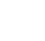 Skane Logo