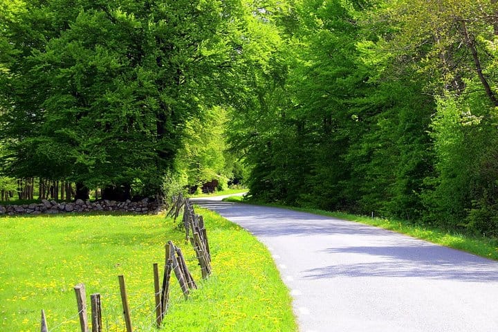 Picture of Green Malmö - Environment and Sustainability ( Private Tour) 