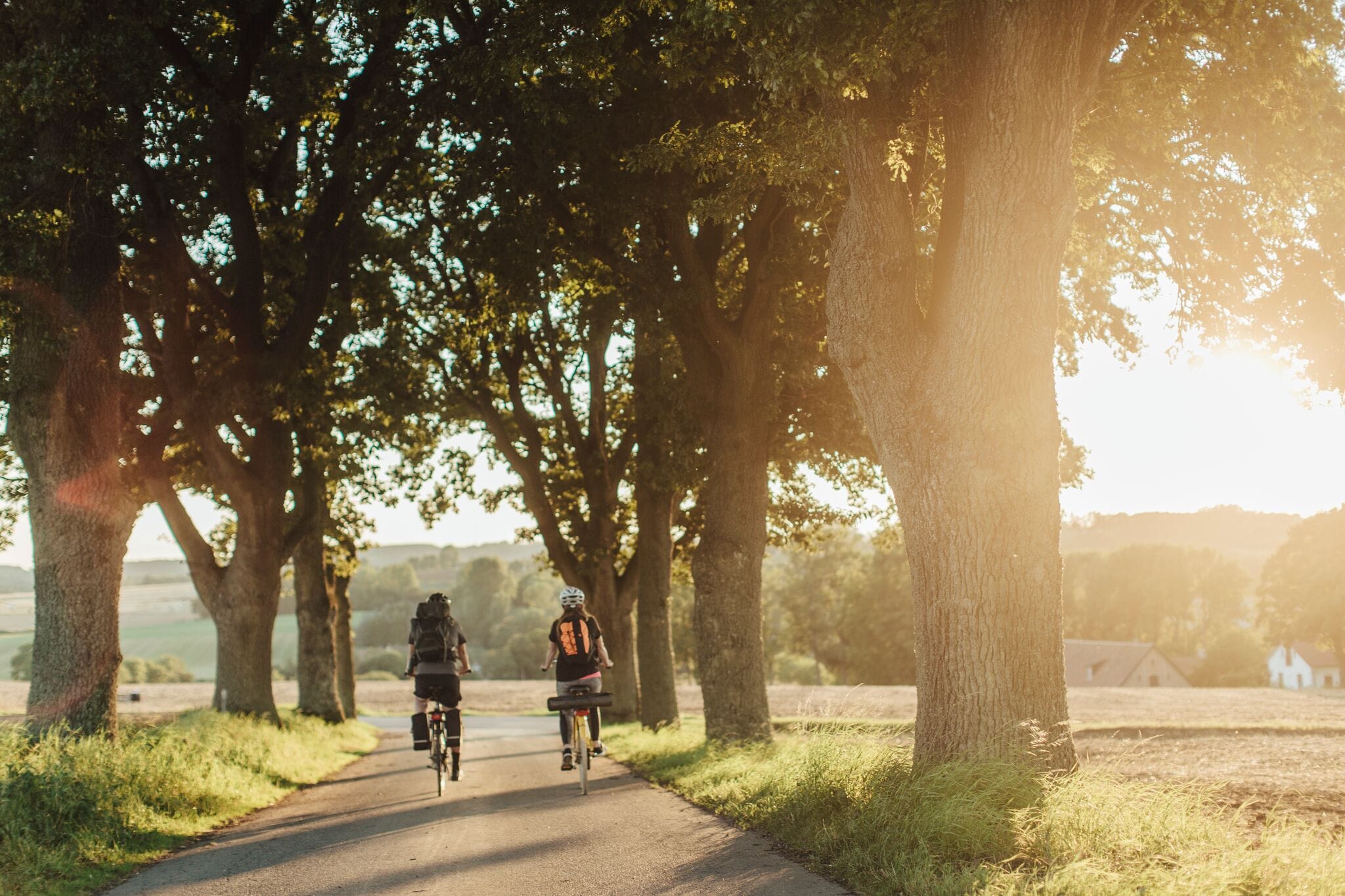 Picture of Sydkustleden bike packages Malmö – Kristianstad