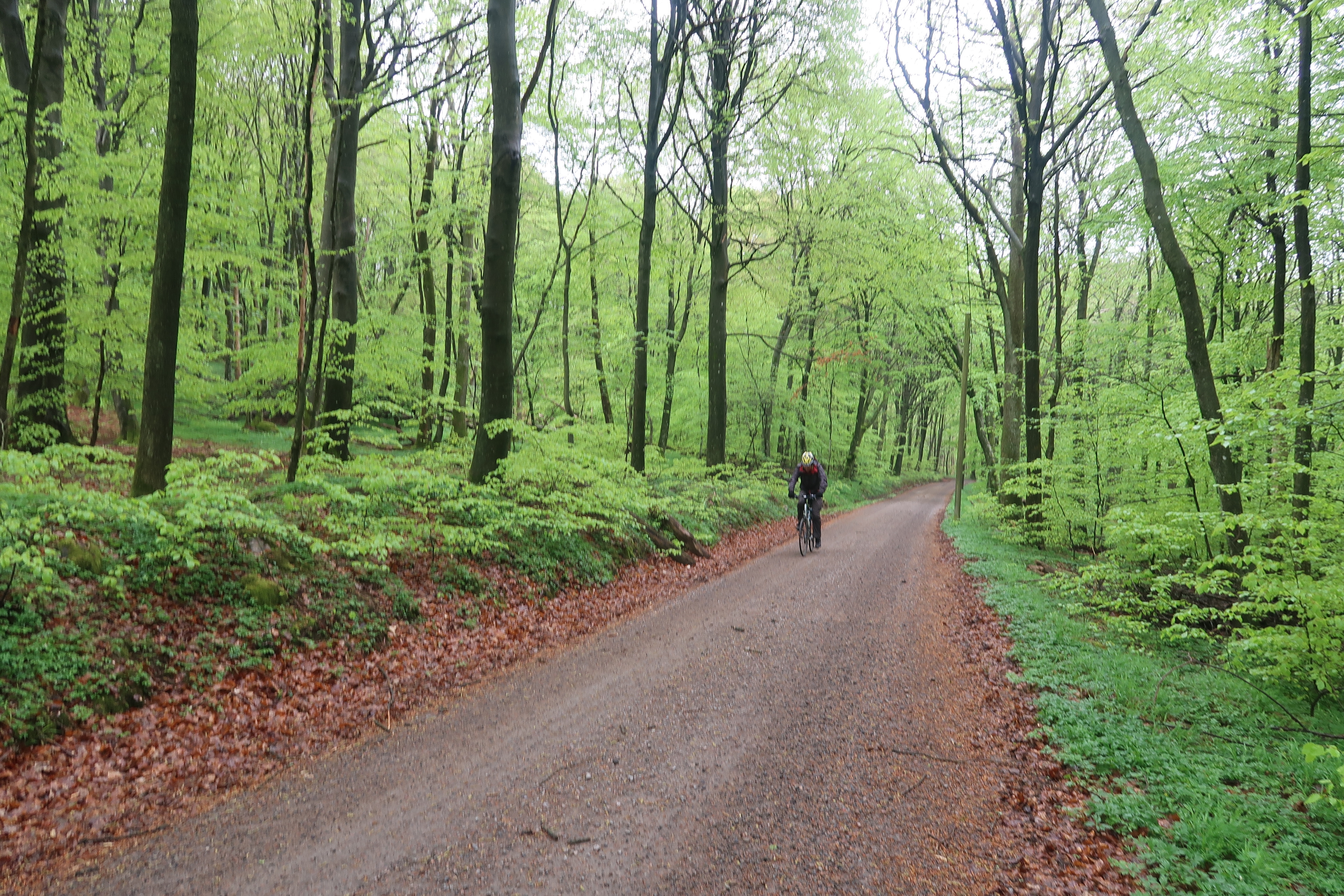 Bild för A cycling adventure through Söderåsens Nationalpark