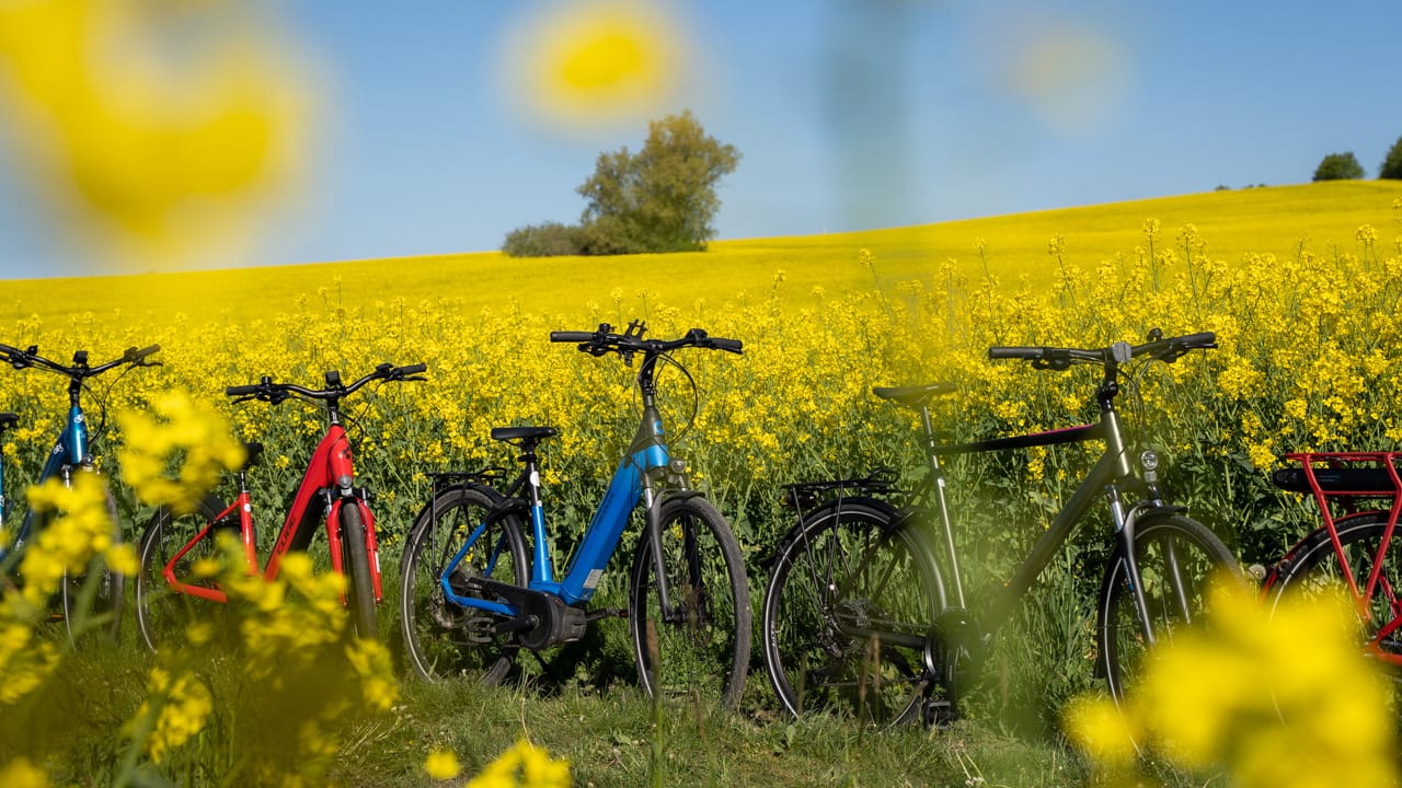 Picture of Sydkustleden - Oresund